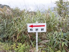 3時半には起床して、4時に出発。
枝折峠まで奥只見シルバーラインを通りましたが、平日で、対向車も少なく、前回と比べるとすんなり通れました。
駐車場まで来たら、意外に車がいっぱい。
登山する人たちが車中泊していたみたいです。