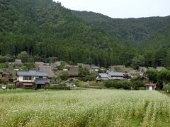 かやぶきの里北集落