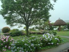 あじさい公園は小さい公園です。
紫陽花も咲いていましたが、花の数は少なかったです。