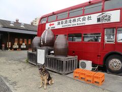 姫路に来たら、灘菊酒造。
私は運転手だったので、試飲はできませんでしたが、妻は３種の利き酒を堪能。