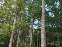 上高地バスターミナルから河童橋に向かいます。
上高地は二度目。
初めて行った時、あまりにも川が綺麗で感動して、娘にも見せたいって思ったんですよね。

河童橋までは歩いて5分くらい。

次回へ続く…