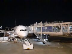 大阪国際空港 (伊丹空港)