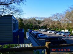 日曜日の黄昏、自宅からマイカーで20分程度、千葉県立印旛沼公園（師戸城址）にやってきた。
