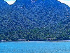 広島12　宮島-1　松大汽船で往復　　59/　　　17