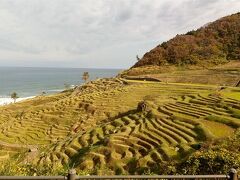 さて、輪島朝市からバスを走らせて着いた先は、白米千枚田。