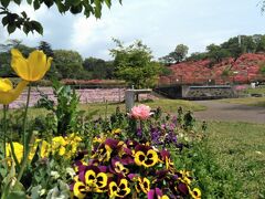 10:05 「長峰公園」（栃木県矢板市）
芝生広場を囲むように、季節の花が咲く花壇や、東屋などがあります。
写真右奥のつつじはこの地方の種類のようです。ヤシオツツジだっけ？
このあとの日程を考えて、かなり早めですが、この公園で昼食休憩をとりました。
持参したおにぎりやお茶でピクニック。