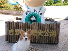 車を走らせ１時間ほど
佐賀県にある吉野ヶ里遺跡を訪ねました。