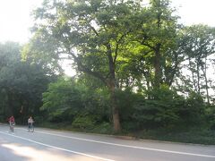 86ストリート駅で下車。有名なセントラルパークの外周道路を少しぶらり。
休日の夕方とあり、ランニングを楽しむニューヨーカーの姿が散見されました。