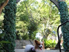 続いて、みっくも入れる、お隣、グラバー園を目指します。
こちらは、ワンコさんも自由にお散歩することができます。
犬連れにはありがたい限りのお庭です。

入口から、
とっても素敵なアーチがお迎えです。