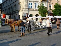 アウシビッツ・ビルケナウを後にして、クラクフの中央市場広場に戻ってきました。

広場では観光客が楽しそうに歩き回り、観光馬車が走っていました。ホットさせられる雰囲気です。長閑で平和な世の中の有難さを再認識させられたアウシュヴィッツ＝ビルケナウ強制収容所の見学でした。