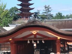 広島17　宮島-6　厳島神社ｃ　　　21/　　9