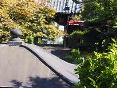 大蓮寺
日蓮上人が泊まった家を改修した法華堂の地に、正住院日圓が慶長13年（1608年）に創建。なるほど歴史がありそう。