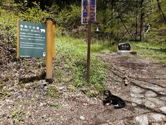 鳥居峠で一休み。クマよけの鈴もある～