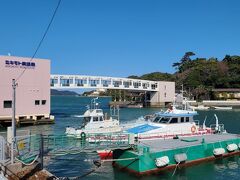 鳥羽水族館までの道のりにあるミキモト真珠島。
今回は寄りませんでした。