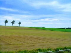 羽田から千歳乗り継ぎでやってきた「女満別空港」。

レンタカーを借りて、まずやってきたのは空港近くの、
「メルヘンの丘」。

国道３９線沿いにあるビュースポットで、
７本のカラマツが有名ですが、
残念ながら３本しか写さず・・なぜ？
でもきれいだから、まあいいっか！