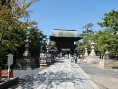 車で移動して新潟の総鎮守、白山神社へ。
鳥居の立ち並ぶ参拝路の先にある立派な面構えの随神門を眺めた所。