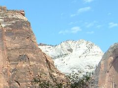 白い一枚岩のグレート ホワイト スローンの景色もザイオンらしい景色です。