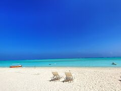 ねぇ…もう本当に綺麗すぎる…
これでもかという晴れた空！あぁ本当に、、、与論島ありがとう涙。
百合が浜出現の干潮時刻まではまだ少し時間があります。赤崎珊瑚の森までクルージングして、そこでシュノーケル。