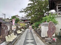 一休みしてから車で外出。伊豆稲取駅の近くにある「済廣寺（榧の寺）」に行ってみました。駐車場あり。

「済廣寺」は臨済宗のお寺です。樹齢約750年の大きな榧の木が境内にあり、御神木とされています。そんなこともあり地元では「榧の寺」と呼ばれているんだそうです。

http://kayanotera.izu-net.com/index.htm