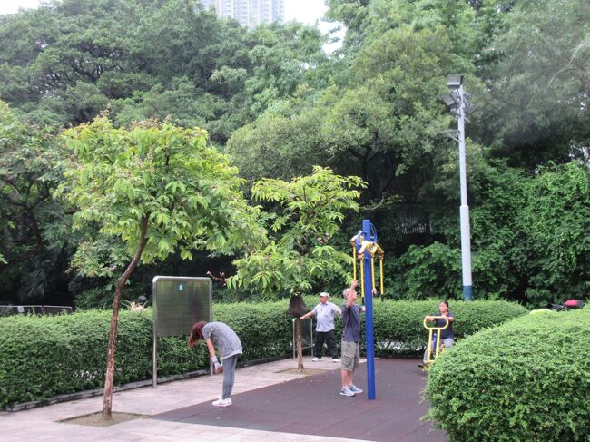 緑豊かな公園で、ちょっとした健康器具があちこちにありました。