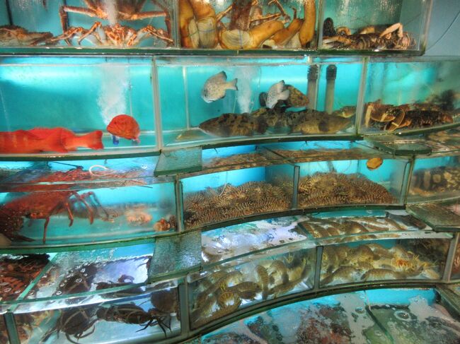 18:00 「正宗水上人蒸気鍋専門店」<br />仲間が9人全員揃っての夕食になりました。<br />現地の仲間が毎週のように食べ歩いて調査してくれた、お薦めのお店を予約してくれていました。<br />お店の入り口には、水槽にいろいろな魚貝類がいました。