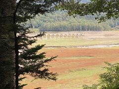 翌朝はチェックアウト後、
タウシュベツ川橋梁へ