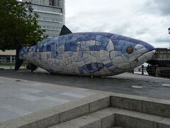 さらに東に行くと、ラガン川に出る。川岸には魚の帰還を祝う写真のビッグ・フィッシュまたはサーモン・オブ・ナレッジの彫刻がある。知恵の鮭ということで、アイルランド神話のフェニアン・サイクルに登場する生き物であり、「賢者」として知られ、かつて鮭に変身したフィンタン・マック・ボクラと呼ばれることもある。