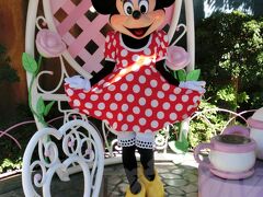 【Minnie's House/TT】(待ち時間：約15分)
 
もちろんミッキーのお隣にはミニーがおりますよ。
うぎゃ～ミニーちょ～カワイイじゃんよぉ～
意外とメイク濃いのね、とか思いつつ、やっぱりミニーも小さい