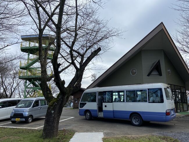 新しくなったいばらきフラワーパークでキャンプ 花やさと山 ８歳 ５歳 石岡 霞ヶ浦 茨城県 の旅行記 ブログ By Keihanさん フォートラベル