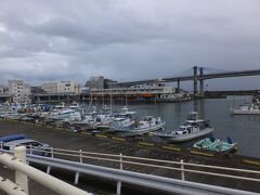 すぐに小田原漁港。
船溜りをぐるっとまわって向こう側がメイン施設。