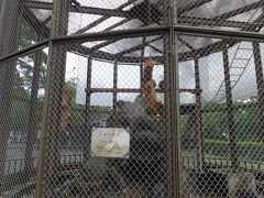 広場にはむかし動物園があったと聞きました。
今は猿しか見当たりませんでした。