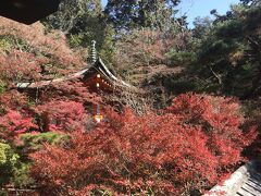 ドライバーさんお任せの京都観光。

最初に訪れたのは天台宗の門跡寺院毘沙門堂。
朱の回廊や晩翠園の紅葉を楽しんで移動します。
