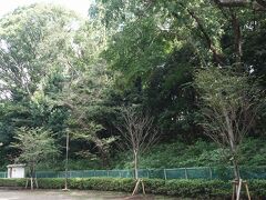 ●亀甲山古墳＠多摩川台公園

この緑の下は、「亀甲山古墳」なんだそうです。
この公園には円墳はたくさんありましたが、この古墳は、前方後円墳です。
4世紀後半のものだと考えられているようです。