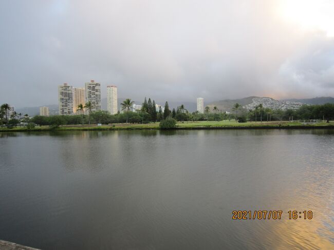 アラワイ運河ができる前のワイキキ<br />古代のワイキキには山々から3本もの川が流れ込み、大きな湿地帯ができあがっていました。現在のワイキキの85％は水で覆われていたと言われています。豊富な真水があり、気温、日照時間共にワイキキは作物の栽培に適した環境だったため、人々はワイキキで主食にあたるタロイモの栽培をはじめ、魚の養殖なども行っていました。1800年代中頃以降は、中国人、日本人などアジア人移民が数多くハワイに入ってきます。そこで、タロイモに並んで、アジア人の主食である米の栽培も始まり、1900年代初頭までには現在のアラワイ運河の辺りに広大な稲の水田が作られていました。現在、米は完全に輸入しているハワイですが、当時はカリフォルニアに輸出するほどの収穫量を誇りました。<br /><br />