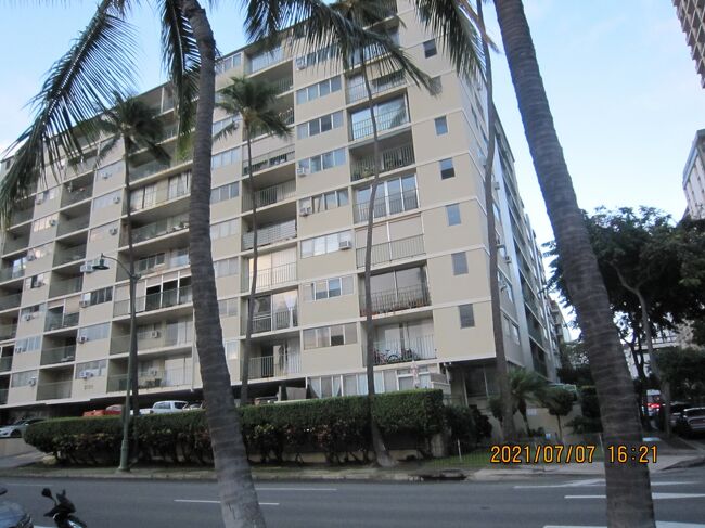 アラ ワイ パームズ<br />アパート