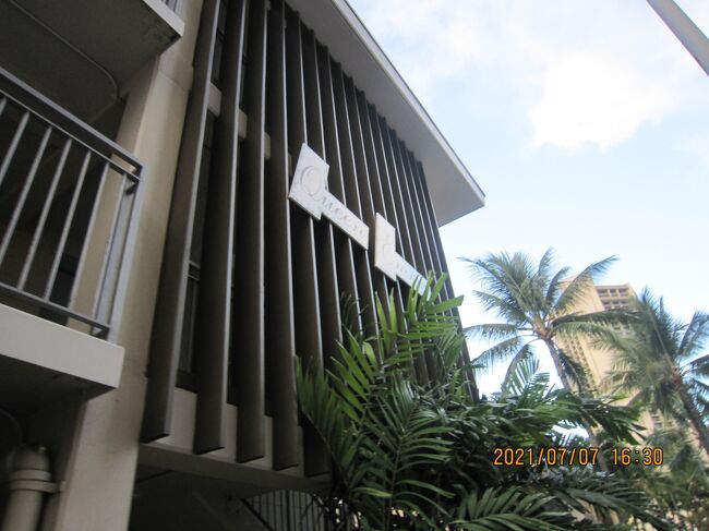 Queen Emma<br />不動産仲介業<br />