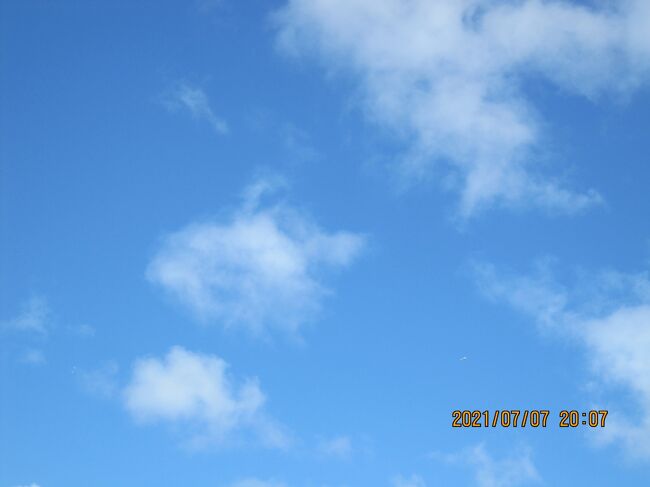 あるようです。