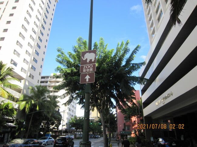 ZOO 真っすぐ<br />行きません。<br />左の建物　VlVE HOTEL WAIKIKI<br />右<br />アクア パシフィック モナーク ホテル