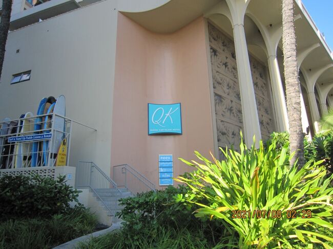 クイーン カピオラニ ホテル<br />ほう<br />サーフが<br />コア<br />ハワイ諸島最大の聖なる木です。<br />ハワイ古来よりカヌーやサーフボード、家具、食器などに用いられた建材です。<br />南房総で地植えされているそうです