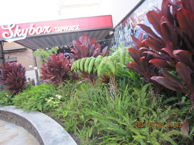 Skybox Taphouse<br />ピザ、スポーツ、ビールなどを提供するワイキキの最新のスポーツバー＆レストラン。 高架式のスポーツバーとレストランのコンセプトには、没入型の観客体験のための最先端の写真とサウンドを備えた40台以上のテレビ、200人のゲストにサービスを提供する2つのフルサイズのバー、メインダイニングルーム、VIPロッカールームがあります。 グループ向けには、ビールタップの滝とビールトラックバーが停泊する、よりカジュアルな雰囲気の屋外テールゲートエリア！ 地元で所有および運営されているコンセプトは、カラカウアアベニューを見下ろすレベル3のグランドラナイにあります。<br />