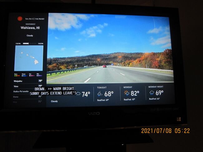 Wahiawa HI<br />ハワイで紅葉？<br />ハイ<br />紅葉が秋ではなく春に起こり、赤ではなく黄褐色であること。そして、株全体が一斉に紅葉するのではなく、少しずつ紅葉していくということです。それぞれの紅葉期間は短く、1～2日で終了します。