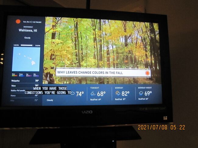 WHY LEAVES CHANGE COLORS IN THE FALL<br />秋に葉の色が変わる理由