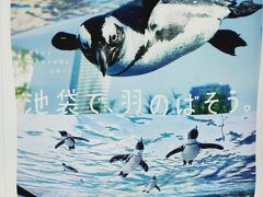 見たいのはこちら空飛ぶペンギン