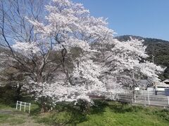 天気予報とにらめっこし、最高の花見ができそうな日にお出かけです。
上麻生駅で途中下車し、あらかじめ見つけておいた喫茶店に向かいます。