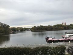 久しぶりの龍沙公園。
この池、実は人造湖です。