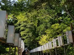 いきなりですが
彌彦神社様へ到着です
大阪では神社仏閣も「さん」付けが多いですが
良く知らぬ土地の神様ですので
敬称を付けさせて頂いております