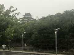 そして車で和歌山市内を通り和歌山城が見えてきたので、久しぶりに寄ることにしました。