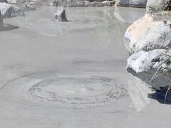 鬼石坊主地獄は海地獄のすぐ隣の地獄で、バスには乗らず、歩いて移動しました。灰色の熱泥がボコボコと、ドーム状に盛り上がり湧き出ていました。
確かに坊主頭のようです。
大小の坊主が盛り上がる様は見ていて飽きません。