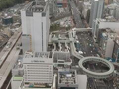 新横浜駅も見下ろせます。
16時半予約でしたが10分ちょい遅れて到着でした。まだ明るい。ここからだんだん日が暮れていく様子が見られるのが、超ムーディ（子供と来てますが笑）で素敵でした～
ちなみにこちら、宴会場がTOEIC試験会場で、行きました笑。TOEICは本当に疲弊するので、、ちょっと嫌な思い出です笑

下の方に昨年いったグレイスホテルが見えますね～
