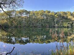 柳沼　
きれいに水鏡～
ちょっと感動。

でもねかなり硫黄臭いのです。
